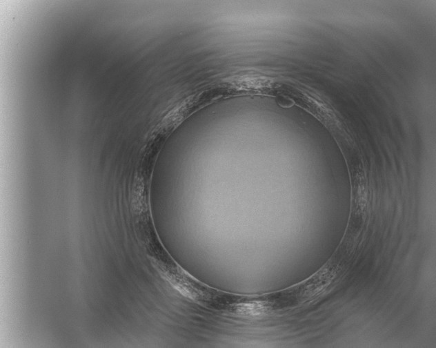 X0000058120411200510071944