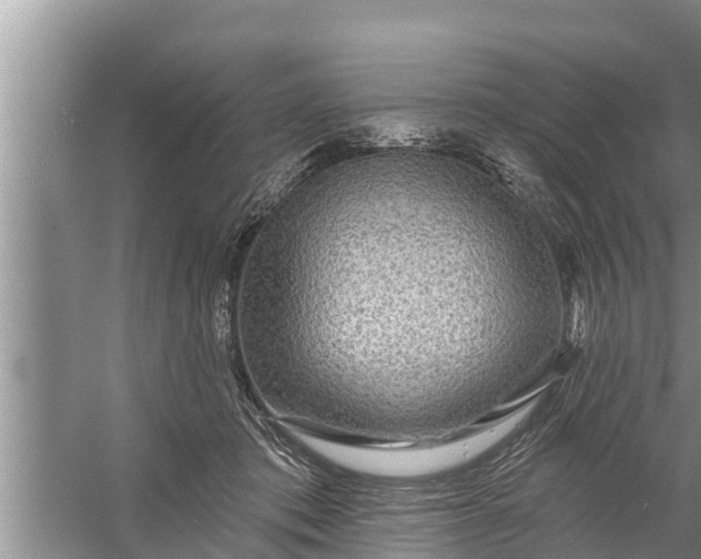 X0000058120413200510071944