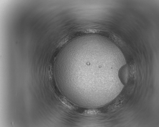 X0000058120414200510071944