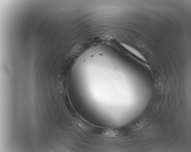 X0000058120416200510071944