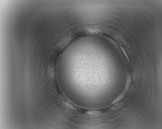 X0000058120417200510071944