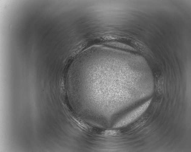 X0000058120418200510071944