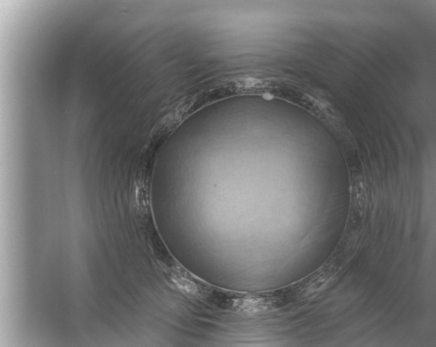 X0000058120419200510071944