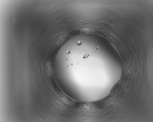 X0000058120420200510071944