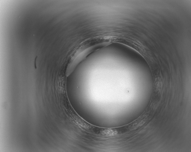 X0000058120421200510071944