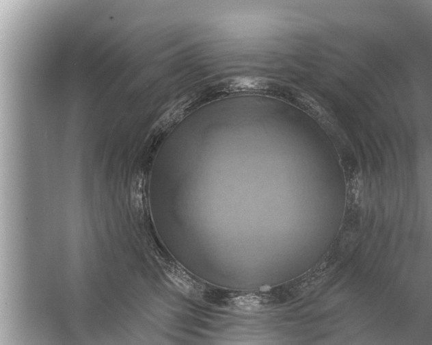 X0000058120423200510071944