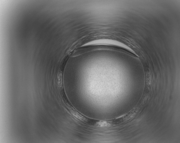 X0000058120425200510071944