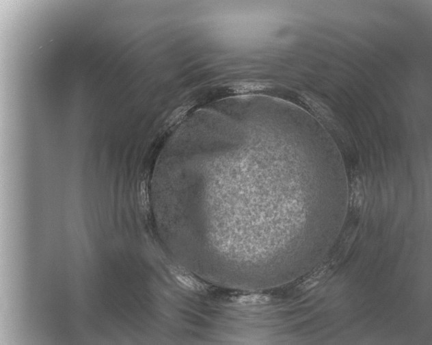 X0000058120426200510071944