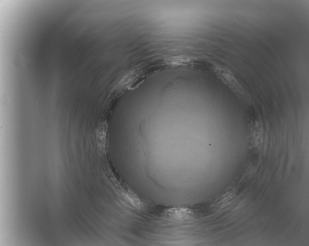 X0000058120427200510071944