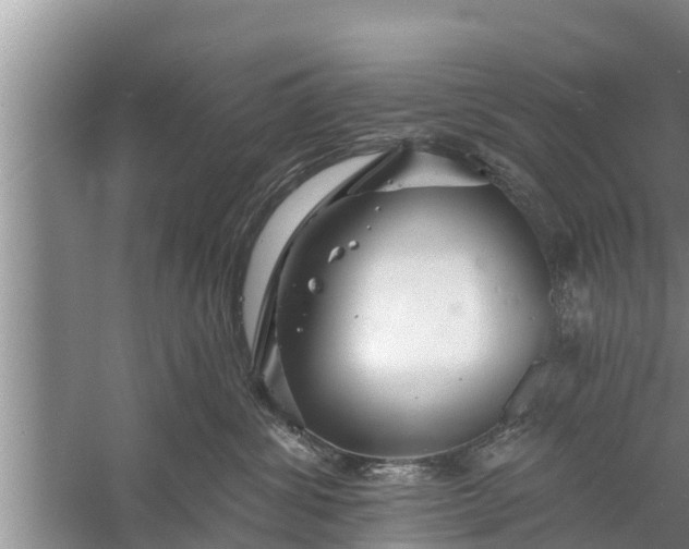 X0000058120428200510071944