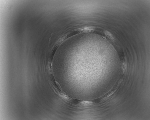 X0000058120429200510071944