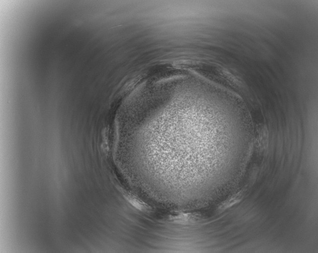 X0000058120430200510071944