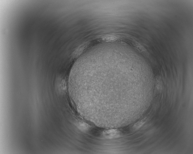 X0000058120431200510071944