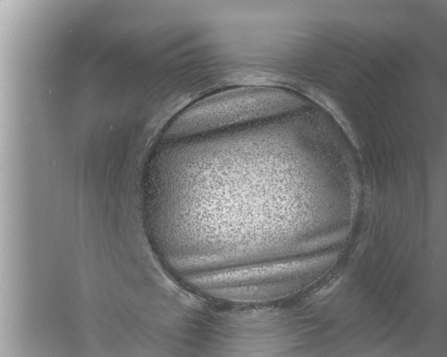 X0000058120433200510071943