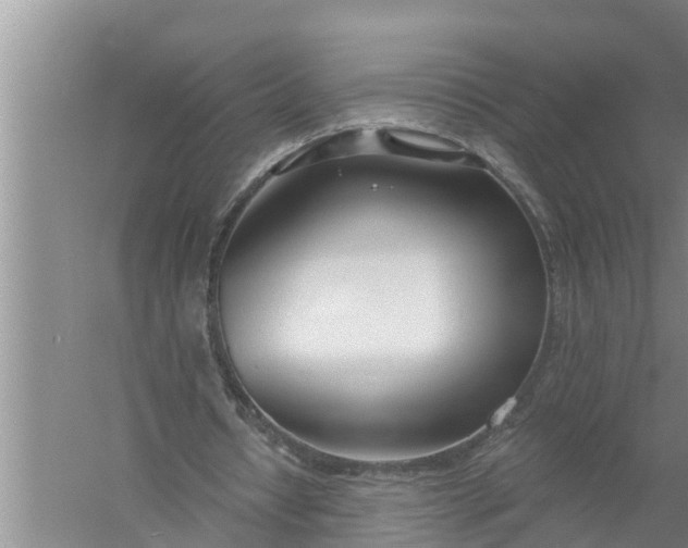 X0000058120434200510071943