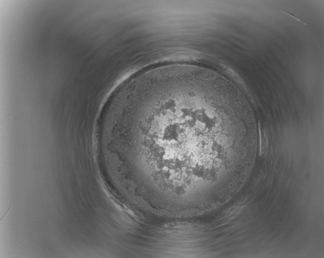 X0000058120435200510071943