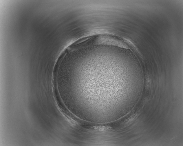 X0000058120439200510071943