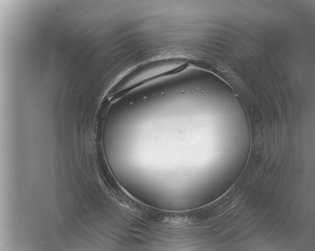 X0000058120440200510071943