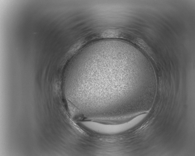 X0000058120441200510071943