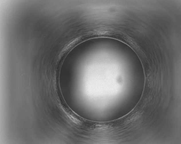 X0000058120442200510071943