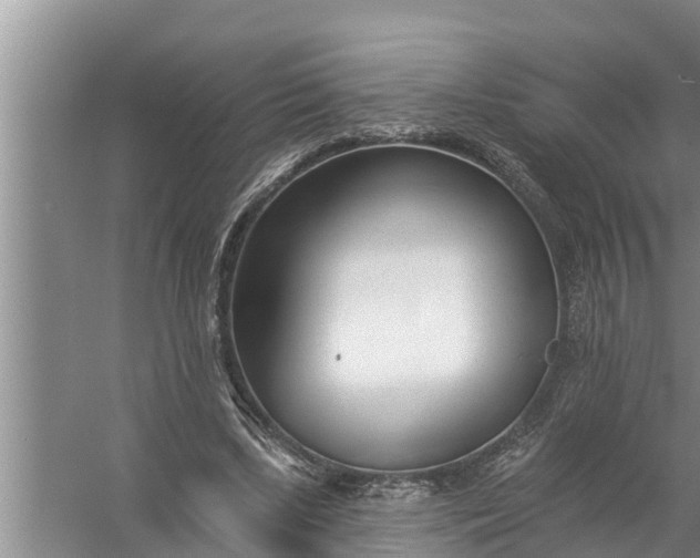 X0000058120443200510071943