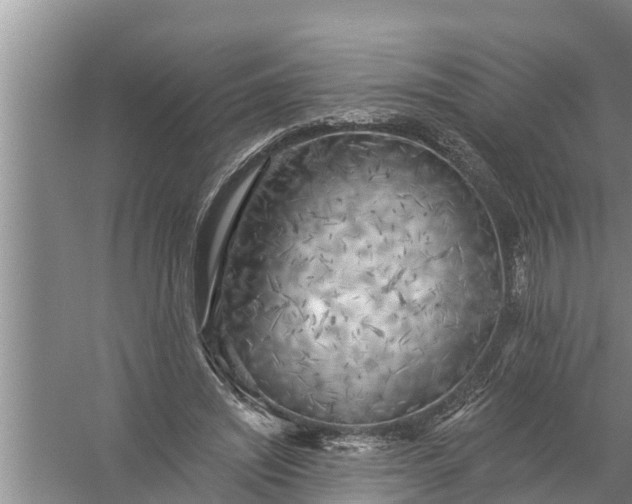 X0000058120444200510071943