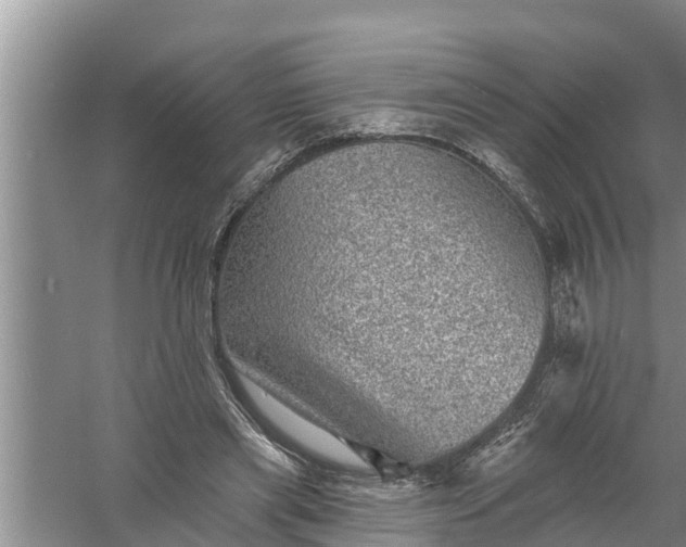 X0000058120445200510071943