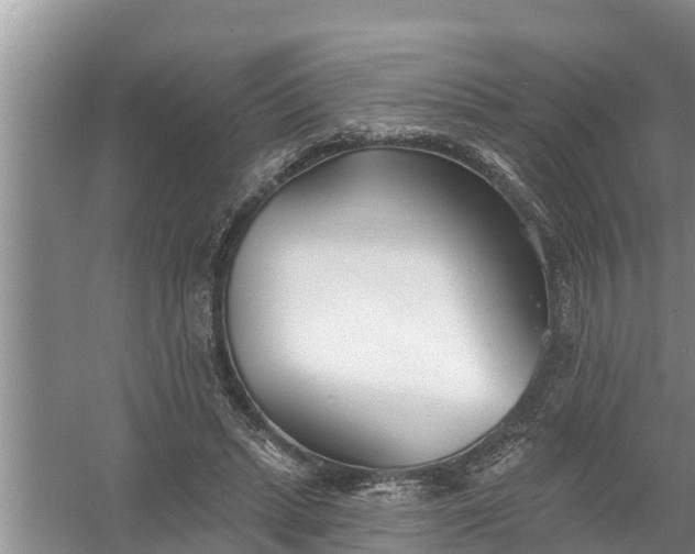 X0000058120447200510071943