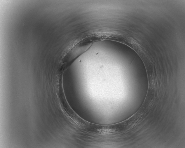 X0000058120448200510071943