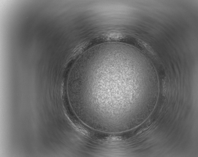 X0000058120451200510071943