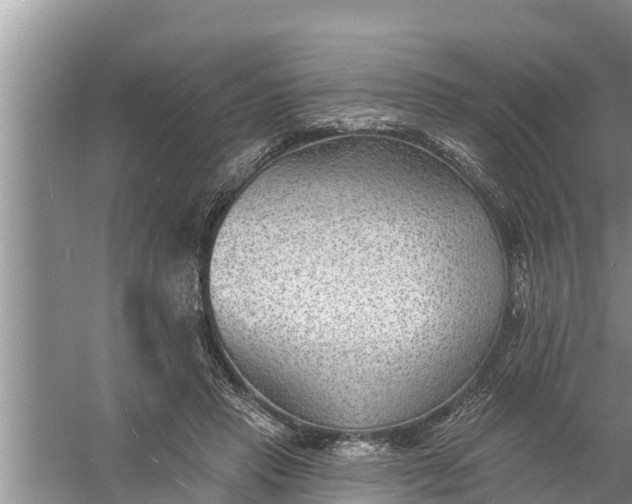 X0000058120453200510071943