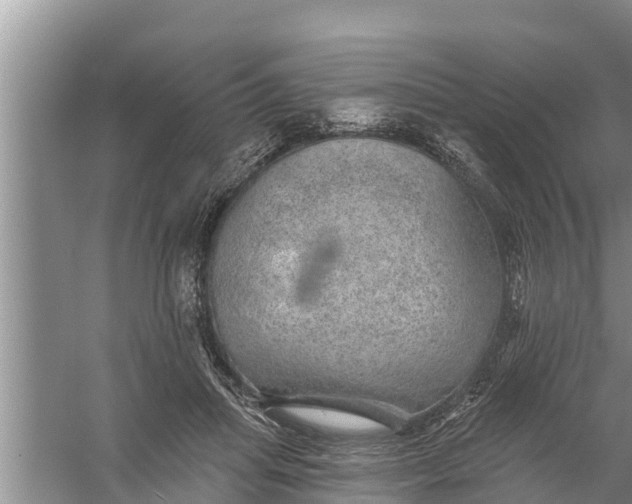 X0000058120455200510071943