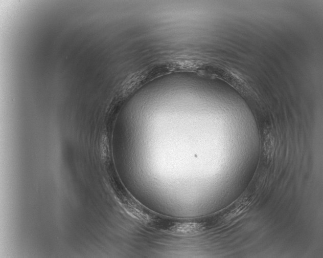 X0000058120459200510071944