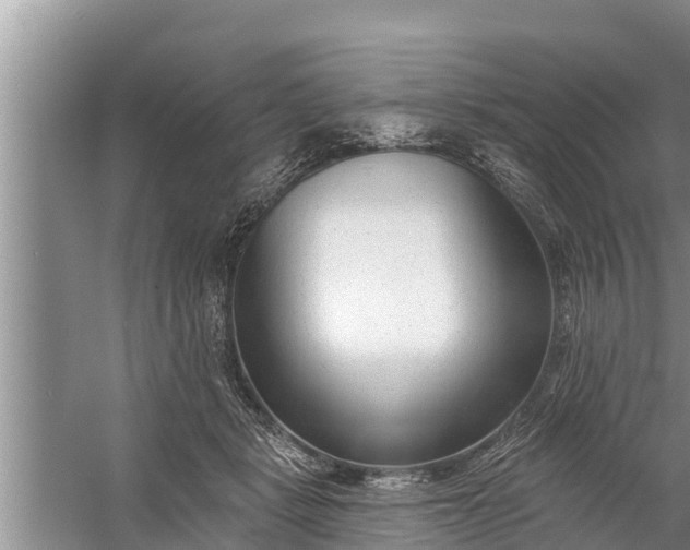 X0000058120461200510071944