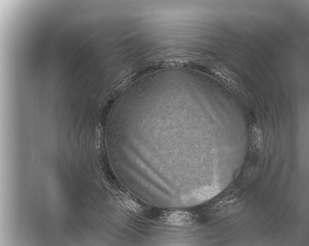 X0000058120463200510071944