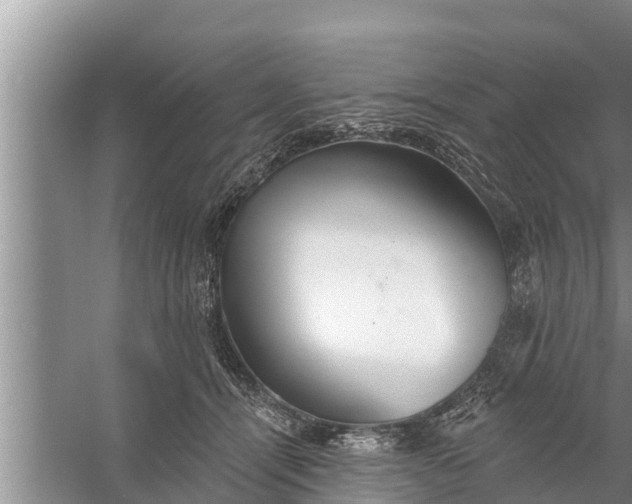 X0000058120464200510071944