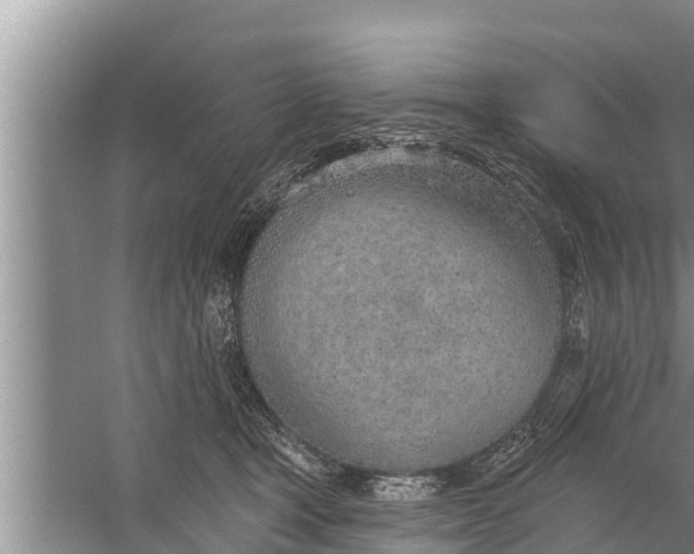 X0000058120465200510071944