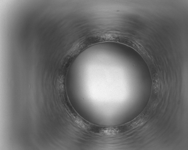 X0000058120466200510071944