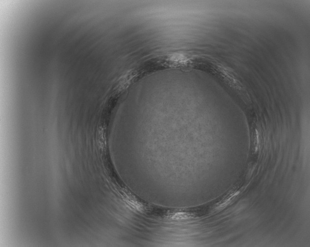 X0000058120467200510071944