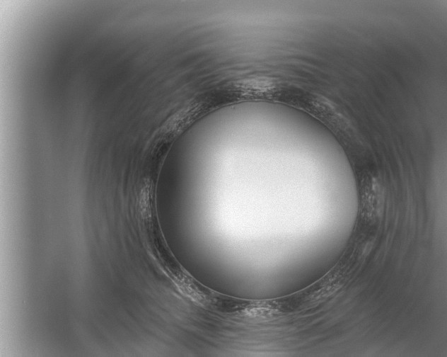 X0000058120468200510071944