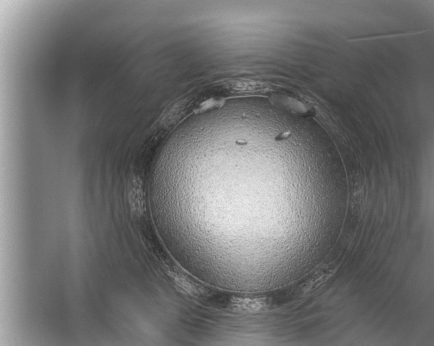 X0000058120469200510071944