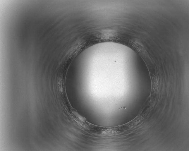 X0000058120470200510071944