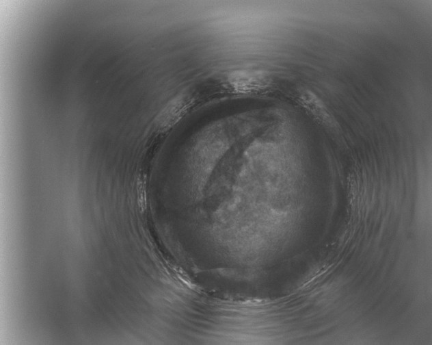 X0000058120471200510071944