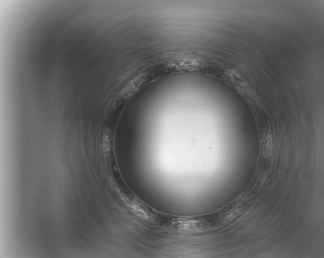 X0000058120472200510071944