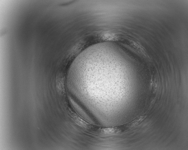 X0000058120473200510071944