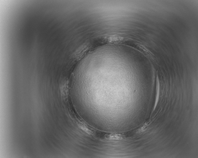 X0000058120475200510071944