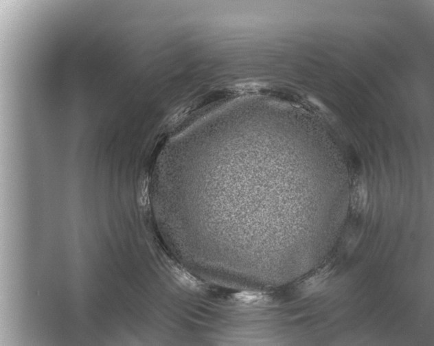 X0000058120477200510071944