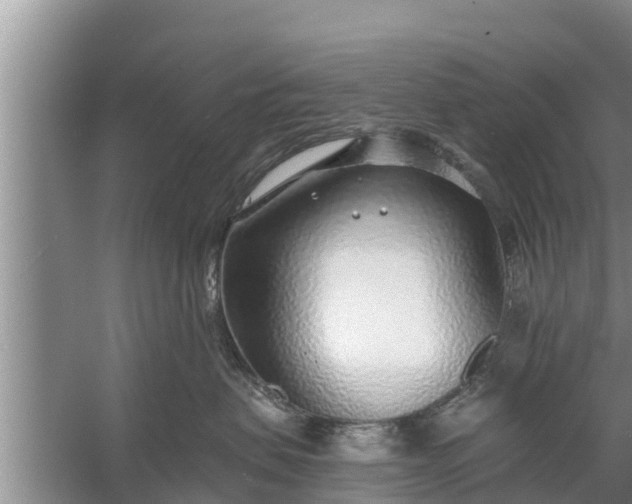 X0000058120479200510071944