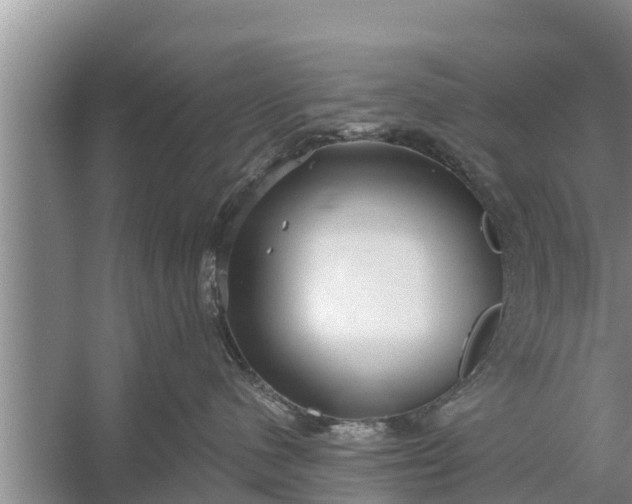 X0000058120480200510071944