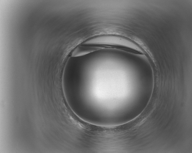 X0000058120481200510071943